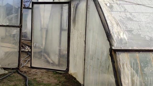 КАПУСТА!ПОМИДОРЫ!РЕДИС! смотреть онлайн