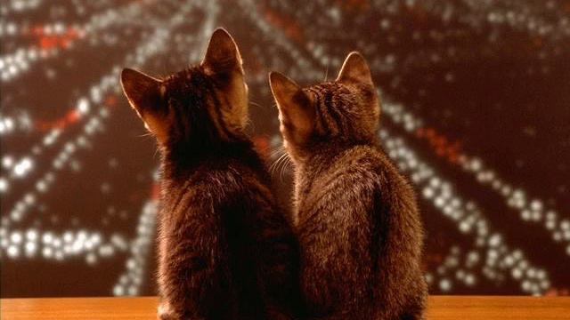 Palmer Lister - Miles Away ( For Alice : * ) смотреть онлайн