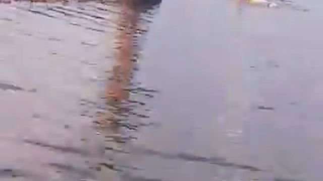 плавуни смотреть онлайн