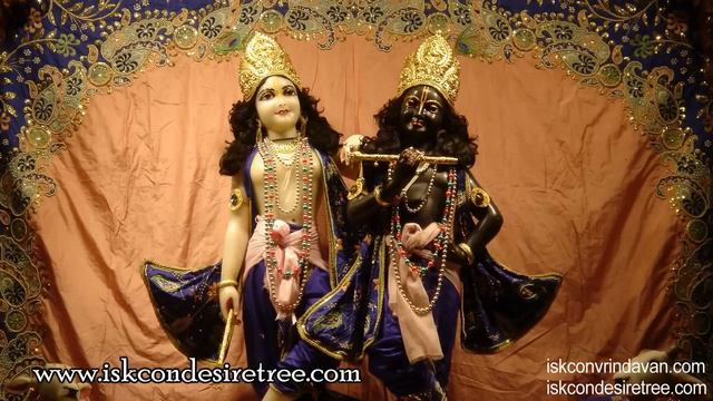 Hare Krishna Heart Touching Kirtan By Aindra Prabhu | Bhakti, Bhajan Of Mahamantra