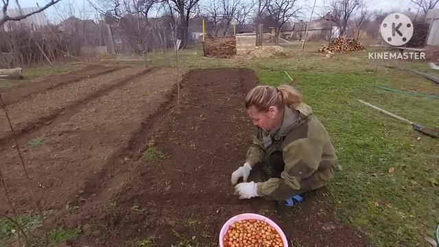 переезд на Юг/новые вещи из Tiki Tex/посадила севок/занимаюсь огородами/пирожки нажарили смотреть онлайн