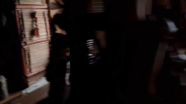 Собачьи забавы, очередная кормушка и на что клюёт дятел. смотреть онлайн