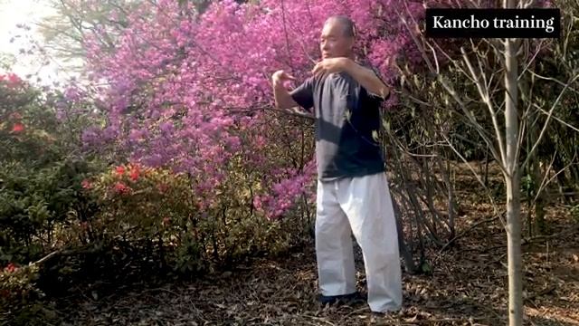 18 апреля 2020 г.(4) смотреть онлайн