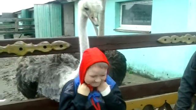 Обнимашки Саши и Ксении Собчак