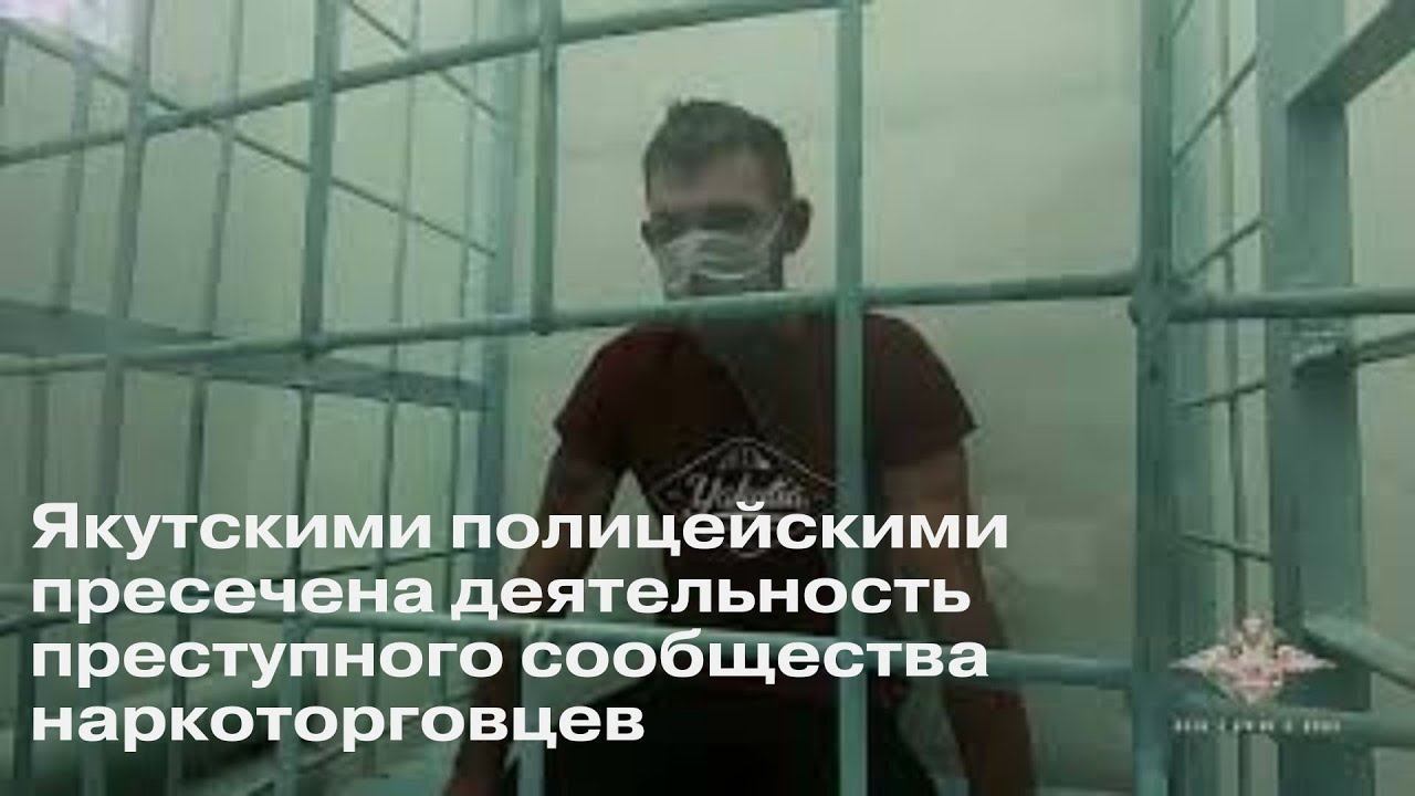 Ирина Волк: Якутскими полицейскими пресечена деятельность преступного сообщества наркоторговцев смотреть онлайн
