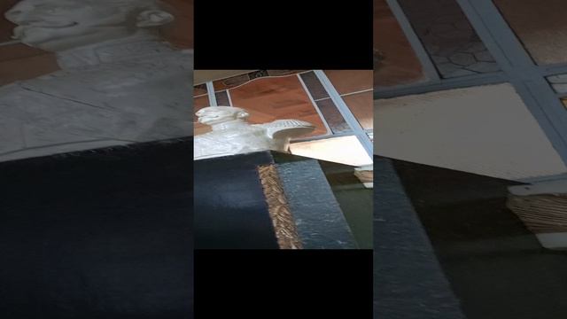 Витебский вокзал Санкт-Петербург