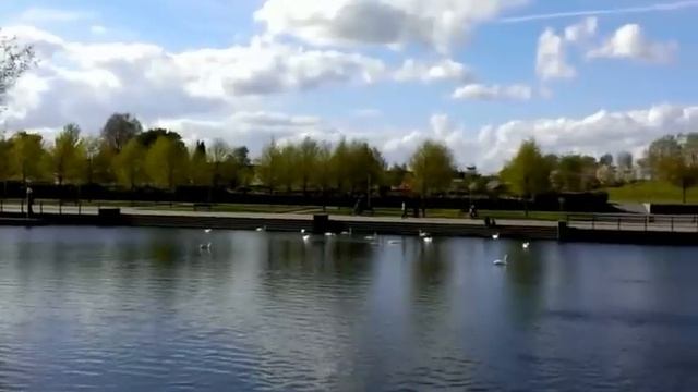 Ireland, County Carlow, River Barrow, The Swans смотреть онлайн