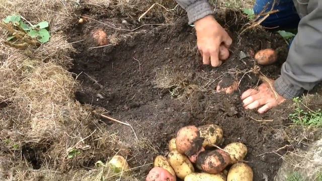 Новоуральск Картофель 2013 смотреть онлайн