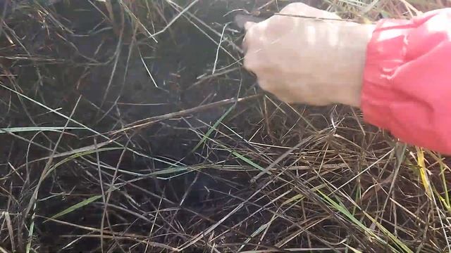 Проверка мобильного металлоискателя, на что он способен?! смотреть онлайн