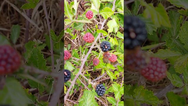 foto um monumento nova reportagem feita pronta (1) смотреть онлайн