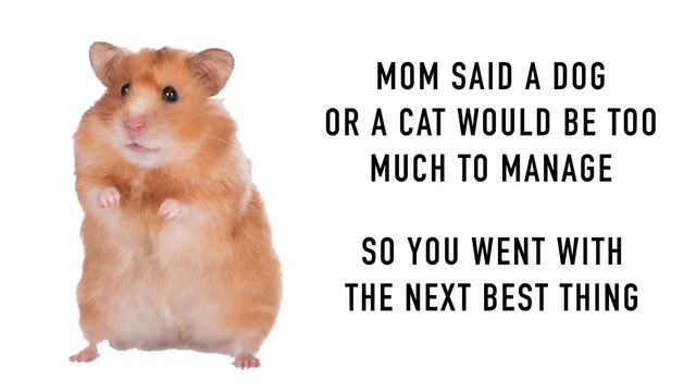 What your favorite animal says about you! смотреть онлайн