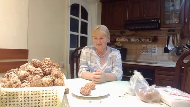Стратификация семян кедра. смотреть онлайн