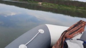 Таймень LX 3400 нднд и Golfstream T5BMS 5 л.с.mp4