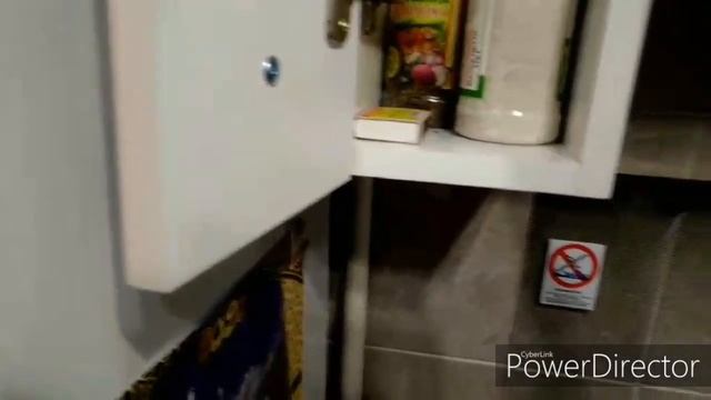 Наука о Животных и их Поведение