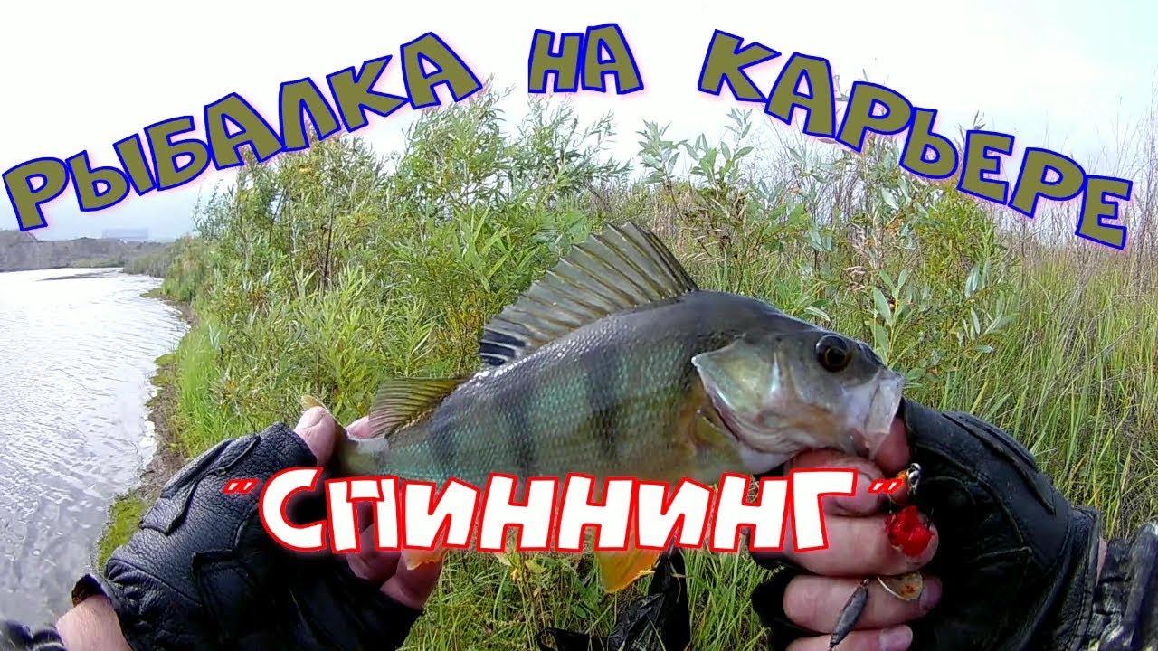РЫБАЛКА на КАРЬЕРЕ _СПИННИНГ_.mp4 смотреть онлайн
