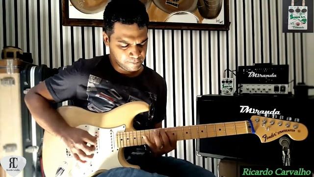 PEDAL DE OVERDRIVE DA TMIRANDA. SCREAM X смотреть онлайн