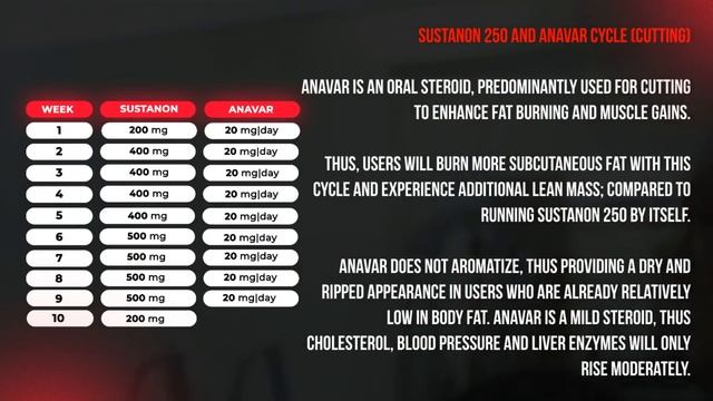 Sustanon 250 Cycle For Beginners, Men And Women - GUIDE & FAQ