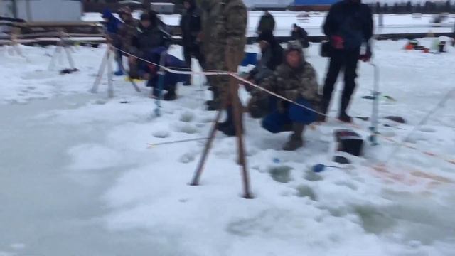 Поимки и вываживание форели при ловле на активную снасть !!! смотреть онлайн