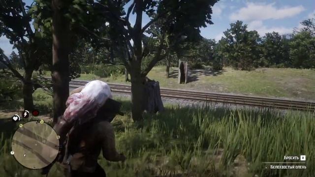 Red Dead Redemption 2 - Прохождение #6 - Исследую обстановку. Пополняю припасы лагеря. смотреть онлайн
