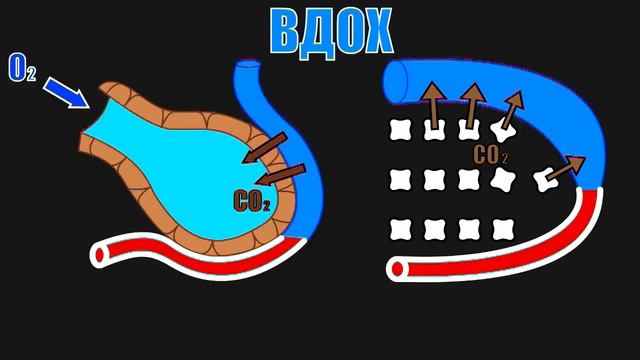 2 точки. Вибрации ГЛАЗ! Вдох и выдох. ПЕНИЕ -О О М М Ра А А А смотреть онлайн