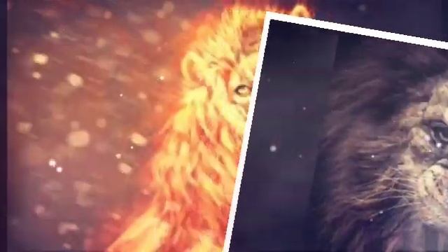 Лев и звезда. Видео.Стих смотреть онлайн