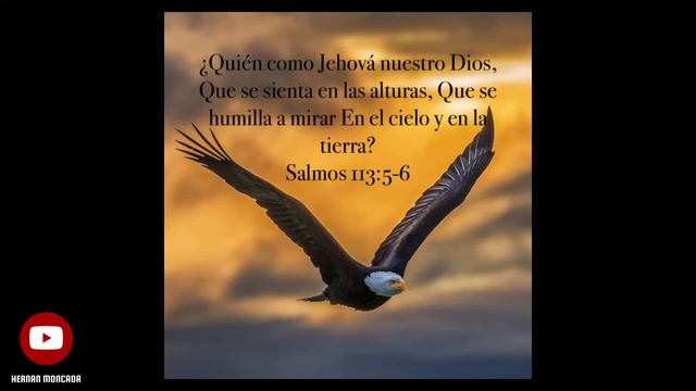 ¿Quien como nuestro Dios? || Mix - Anciano Juan Miranda 🇨🇱 смотреть онлайн