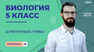 Шляпочные грибы. Урок 16.Биология 5 класс