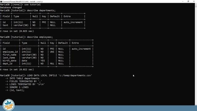 Import CSV File | MariaDB Tutorial for Beginners смотреть онлайн