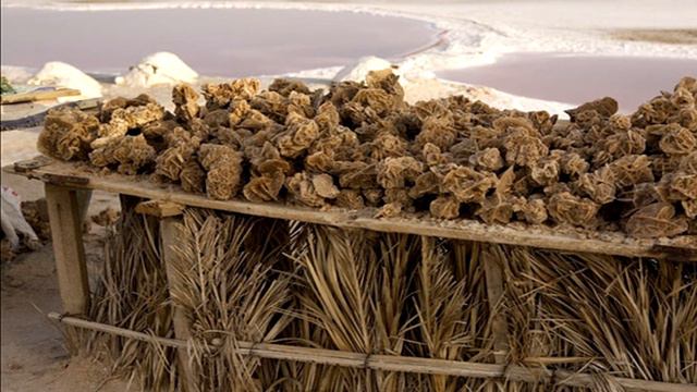 Роза пустыни - камень любви и страсти смотреть онлайн