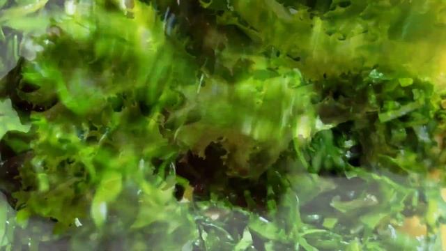 Beef Fillet Steak Recipe, Стейк из говядины смотреть онлайн