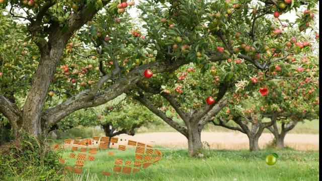 Фруктовый рай смотреть онлайн