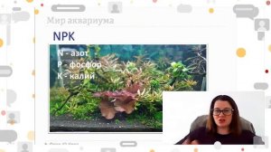 Урок 2. Аквариум как экосистема
