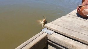 Рыбалка у Николаича в с. Тишково Астраханской области