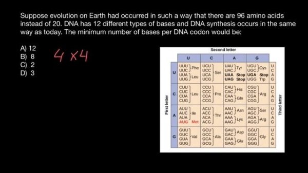 Codon table explained