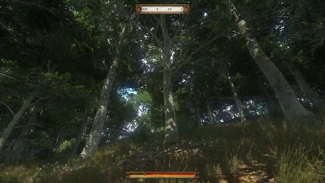 Kingdom Come Deliverance карта сокровищ V смотреть онлайн