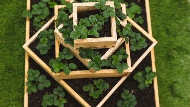 38 урожайных идей для клубничной грядки