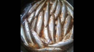 Шпроты по домашнему. Как приготовить шпроты. Рецепт шпрот. Как сделать шпроты из мелкой рыбы