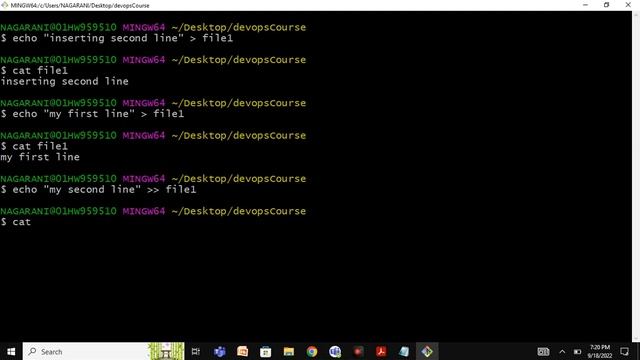 Day 2 DevOps Linux Commands смотреть онлайн
