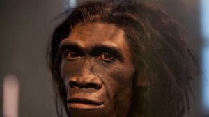 Эволюция человека. Теория Дарвина. От австралопитека до человека разумного.