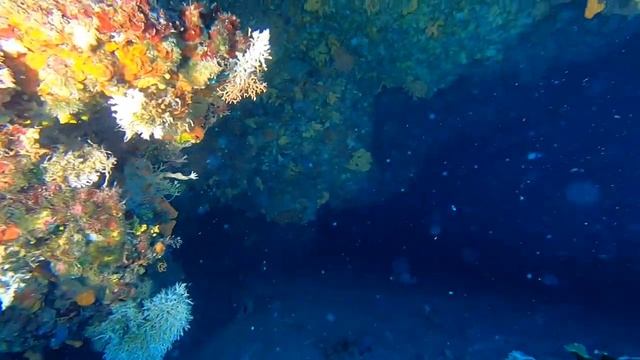 Korčula Croatia Scuba Diving смотреть онлайн