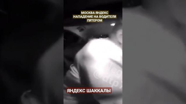 ТОЛЬКО ШАКАЛЫ СТАДОЙ НАПАДАЮТ НА ОДНОГО смотреть онлайн