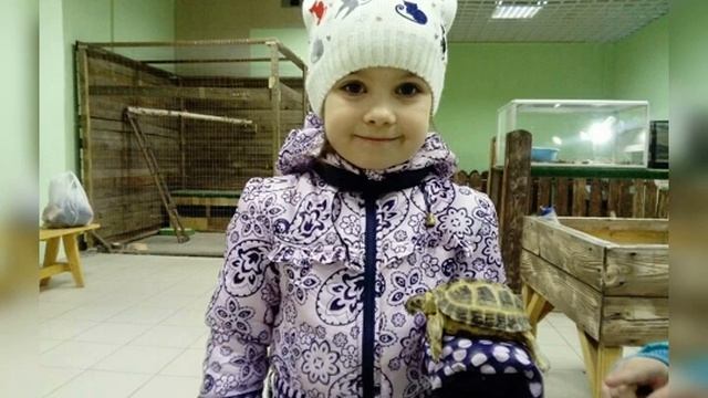 Сказка за сказкой. Мудрая черепаха ?. Важдаев. В. М. смотреть онлайн