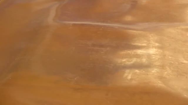 BARTH CORVUS смотреть онлайн