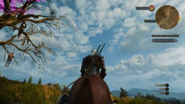 Witcher3/q9650/msi r9 290 gaming смотреть онлайн