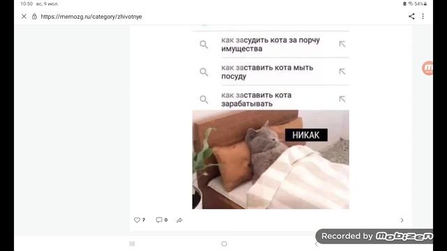 КАК ЗАСТАВИТЬ КОТА МЫТЬ ПОСУДУ)))) Приколы с котами Мемозг#2 смотреть онлайн