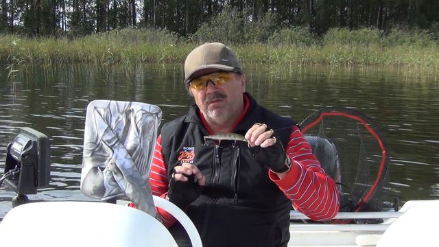 DUO Realis Jerkbait (Воблер из моей коробки) смотреть онлайн
