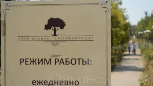 Россияне назвали Анапу самым экологичным городом страны смотреть онлайн