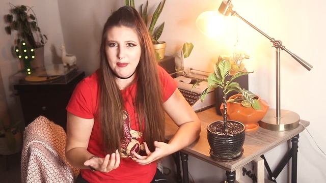 Zebra Plant (Aphelandra squarrosa) Complete Plant Care Guide For Beginners смотреть онлайн