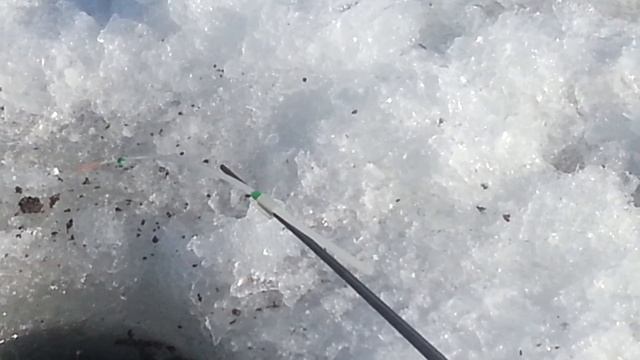 Ростовановское водохранилище зимой смотреть онлайн