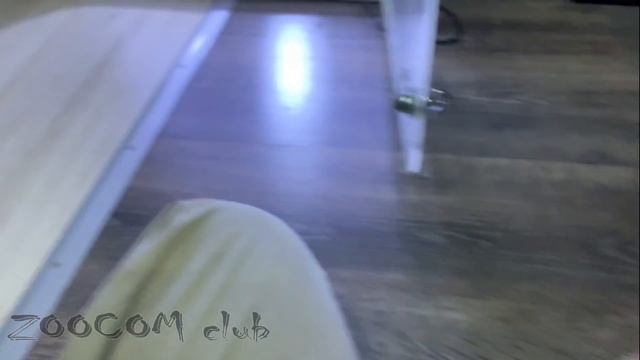 Мы вырастили бешеную обезьянку! смотреть онлайн